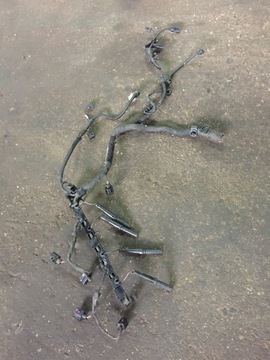 фото thumb №1, Джгут двигуна vw golf vi 1,6 tdi 03l971824e