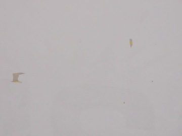 фото thumb №6, Iveco eurocargo ii 02-08 двері ліва голий