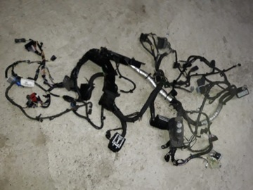 фото thumb №1, Mondeo mk5 электропроводка двигателя жгут лампа full !