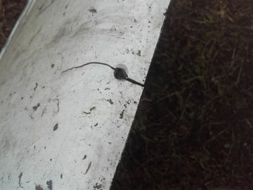 фото thumb №7, Левая ветровик, защита межосевая iveco stralis