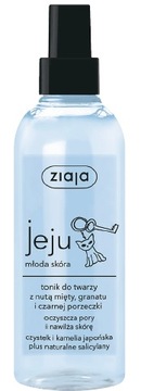 ZIAJA JEJU Очищающий тоник для лица 200мл