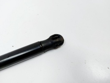 фото thumb №9, Tesla 3 tesla iii 19r. амортизатор телескоп капота передний 1091472-00-b