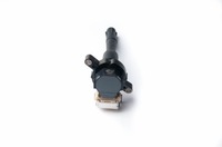 фото thumb №11, Котушка запалювання esen skv 03skv213