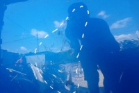 Ford focus mk4 iv 18-21 капот Ціна, фото thumb