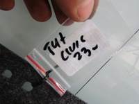 фото thumb №7, Civic xi 23r защита pod ванна обивка