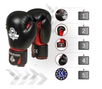 БОКСЕРСКИЕ ПЕРЧАТКИ ДЛЯ ТРЕНИРОВОК С МЕШКОМ, БОКС И КИКБОКСИНГ DBX BUSHIDO 12 унций