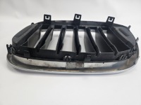 Bmw x4 g02 x3 g01 2018 - 2021 решітка радіатора решітка  радіатора решітка радіатора права 192976-10 Зі Шроту, фото thumb