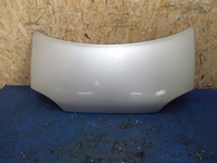 фото thumb №1, Капот microcar virgo