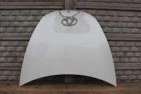 Купити Капот перед tesla 3 3 17-24 gielda, фото thumb