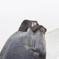 фото thumb №6, Nissan leaf ii ze1 2020 правая сторона подкрылок задние