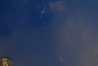 фото thumb №7, Капот крышка двигателя niebieska suzuki sx4 06-14