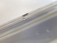 Ford focus 2018 iv дверь правое перед в Украине, фото thumb