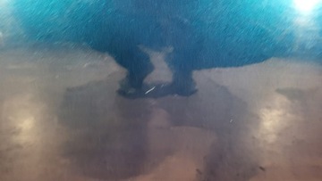 фото thumb №7, Двері правий перед mazda 6 gg 02- 32c