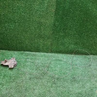 Механізм скло правий перед 3d fiat 126 p 7676567 Недорого, фото thumb