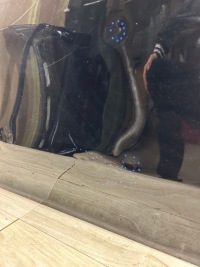 Mercedes gle gls w167 дверь передние правое Недорого, фото thumb