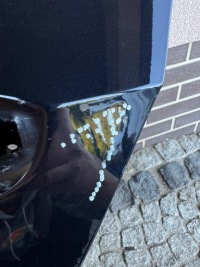 фото thumb №13, Дверь задние левая задняя vw golf viii 8 kombi