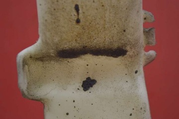 фото thumb №8, Бачок склоомивача hlc-22027 honda crv 3 iii 2.0 i-vtec 150 km 06-09