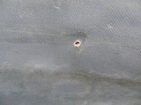 фото thumb №7, Стена перегородочная перегородка berlingo partner 2008-