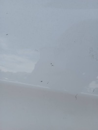 фото thumb №6, Nissan qashqai ii j11 5d дверь правые перед передние комплектные 326g европа