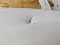 фото thumb №5, Двері передні перед jaguar f-pace