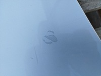 фото thumb №12, Капот audi a4 b7 2004-2008 cabriolet