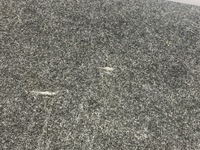 фото thumb №12, Обшивка задня dodge charger 2015+ usa