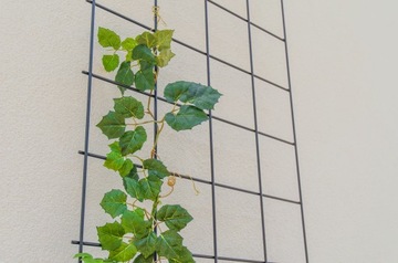 PERGOLA OGRODOWA METALOWA PODPORA DO ROŚLIN RÓŻ KWIATÓW KRATKA 65x170cm