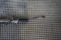 фото thumb №6, Рулевая рейка трансмиссия peugeot 206 europa