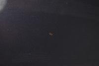 Капот крышка двигателя серая honda civic 9 ix универсал 13-20 с Разборки, фото thumb