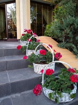 Садовая краска для дерева, плетения, бетона, 1л, белая