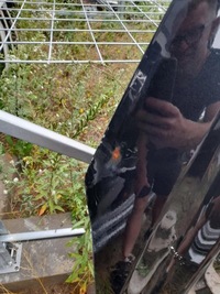 фото thumb №8, Mazda 3 13- капот