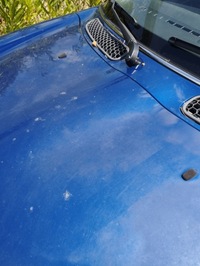 фото thumb №5, Mini cooper r50 r53 капот кришка двигуна код лакофарбового покриття 862/5 indi blue