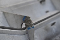 фото thumb №15, Решётка радиатора решётка радиатора серебристая 1308069070 citroen jumper 2 ii 04-15