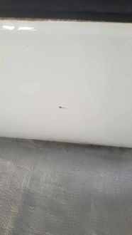 фото thumb №7, Дверь передние правое citroen c4 cactus ewpb