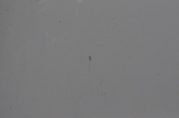 фото thumb №6, Volvo s80 ii v70 iii капот кришка камери двигуна