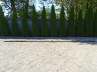 фото thumb №1, Daf lf 45 55 01-13 рама права балка bok 19,5 949x26 cm