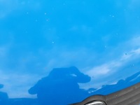 фото thumb №7, Vw polo iv 9n капот крышка двигателя la5f