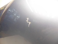 фото thumb №6, Капот крышка двигателя audi a8 d3 4e lift 04-09r