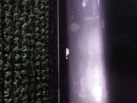 фото thumb №7, Audi a3 8p 05-12 sportback дверь задние левая зад