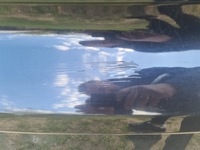 фото thumb №6, Бампер задняя задний vw scirocco lc9x pdc чёрный