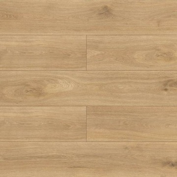 Panele Podłogowe Dąb di Trevi Wodoodporne AC5 8 mm V4 2.37m2