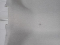 фото thumb №6, Потолок dacia dokker 1.6 sce 2018 r europa 739102516r