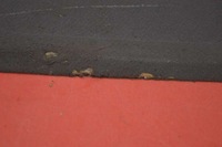 фото thumb №4, Полка багажника opel meriva a 02-06