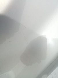 фото thumb №7, Opel zafira b крила лівий z167