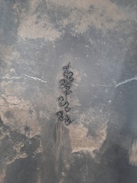 фото thumb №16, Бампер задній pod датчики pdc honda crv cr-v колір nh711m 2006-2011