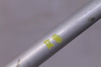 фото thumb №5, Audi r8 4s шланг шланг воды 4s0819270d 4s0819374b