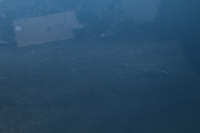 фото thumb №7, Двері ліва перед audi a4 b8 lx5v