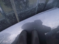 фото thumb №6, Капот крышка крышка багажника ds4 i citroen 14r ktp