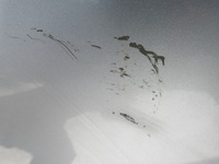 фото thumb №12, Nissan pathfinder r51 дверь левый перед левая передние