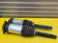 фото thumb №1, Tesla model s lift амортизатор задняя левый правый 1067461 1067466